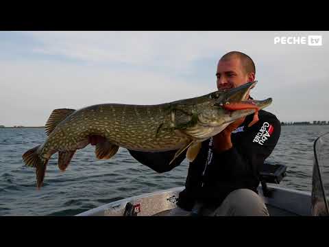 download lagu mp3 mp4 Brochet Hollande, download lagu Brochet Hollande gratis, unduh video klip Brochet Hollande