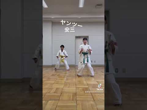 極真空手で習う型シリーズ            安三(ヤンツー)