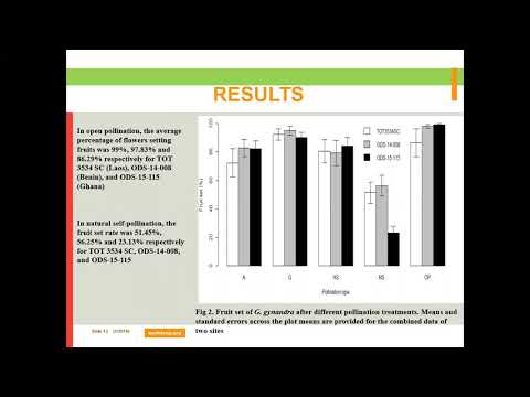 1-16_Andromonoecy in Gynandropsis gynandra (L.) Briq.(Cleomaceae), effects on fruit, seed production