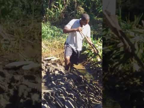 Sequência dos poços de peixes parte 2