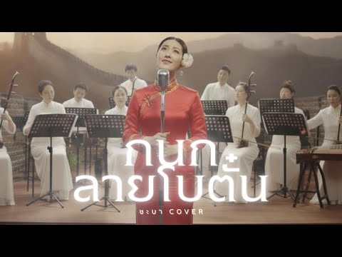 กนกลายโบตั๋น- ชะบา 【 Cover Ver. ดนตรีร่วมสมัย】Original : เรนโบว์ #เพลงไทยร่วมสมัย