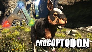 Taming A Procoptodon | Ark Survival Evolved | The Island