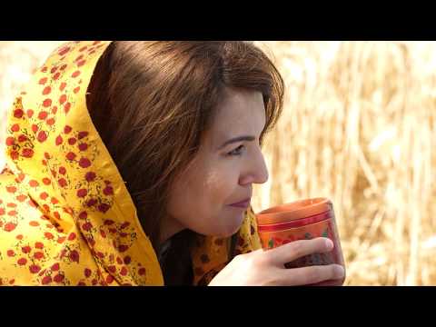 Golden fields in Paniah l Reham Khan Official l #MyPakistan