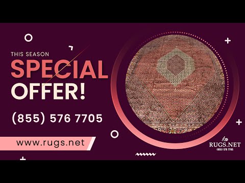 9'9 x 13'2 Bijar Persian Iron Rug