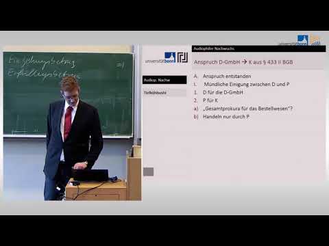 Handelsrecht 14 - Klausurfälle (Examensklausuren)