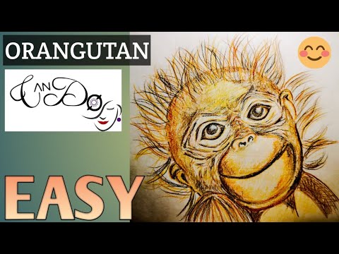 How To Draw An Orangutan Step By Step For Beginners |...