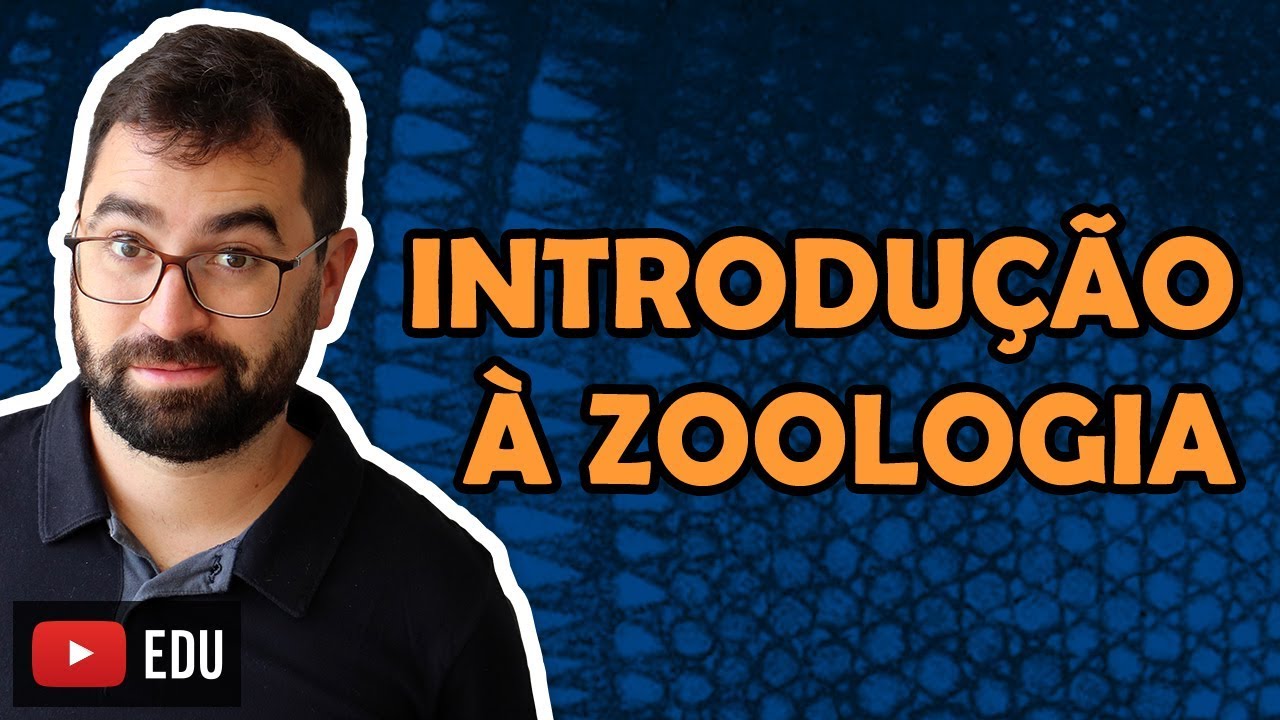 Introdução à Zoologia - Aula 07 - Módulo VI: Zoologia | Prof. Guilherme
