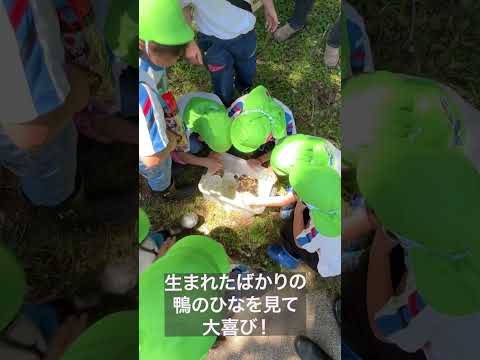 【愛知教育大学】2025年度子どもキャンパスプロジェクト_附属幼稚園5歳児　動物ふれあい編ダイジェスト映像　＃愛知教育大学＃愛教大＃未来共創プラン＃子どもキャンパスプロジェクト
