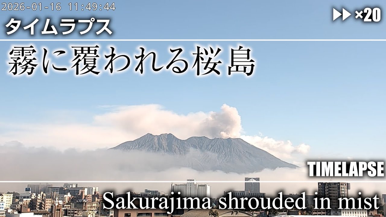 2026年1月16日 11:30 霧に覆われる桜島 / Sakurajima shrouded in mist