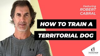 How to Train a Territorial Dog with Robert Cabral (Episode 66)