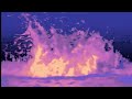 The Silent Orchestra | Biosphere