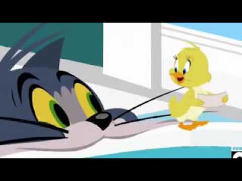 magivlcal animated birthday wishes