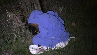 dov-e-finita-l-umanita