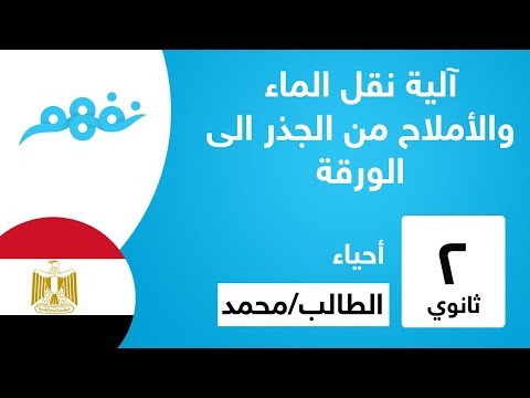 آلية نقل الماء والأملاح من الجذر الى الورقة - الأحياء - للصف الثاني الثانوي - المنهج المصري - نفهم