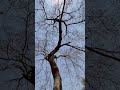 Before After Nature Is Nature