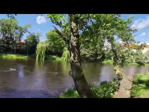 walking through nature in falkenberg, Sweden 🇸🇪2023 .