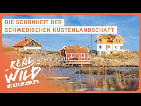 Geheimtipp: Urlaub in Südschweden | Doku