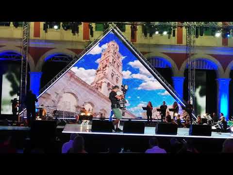 Mladen Grdović 🎶Dalmatinac sam