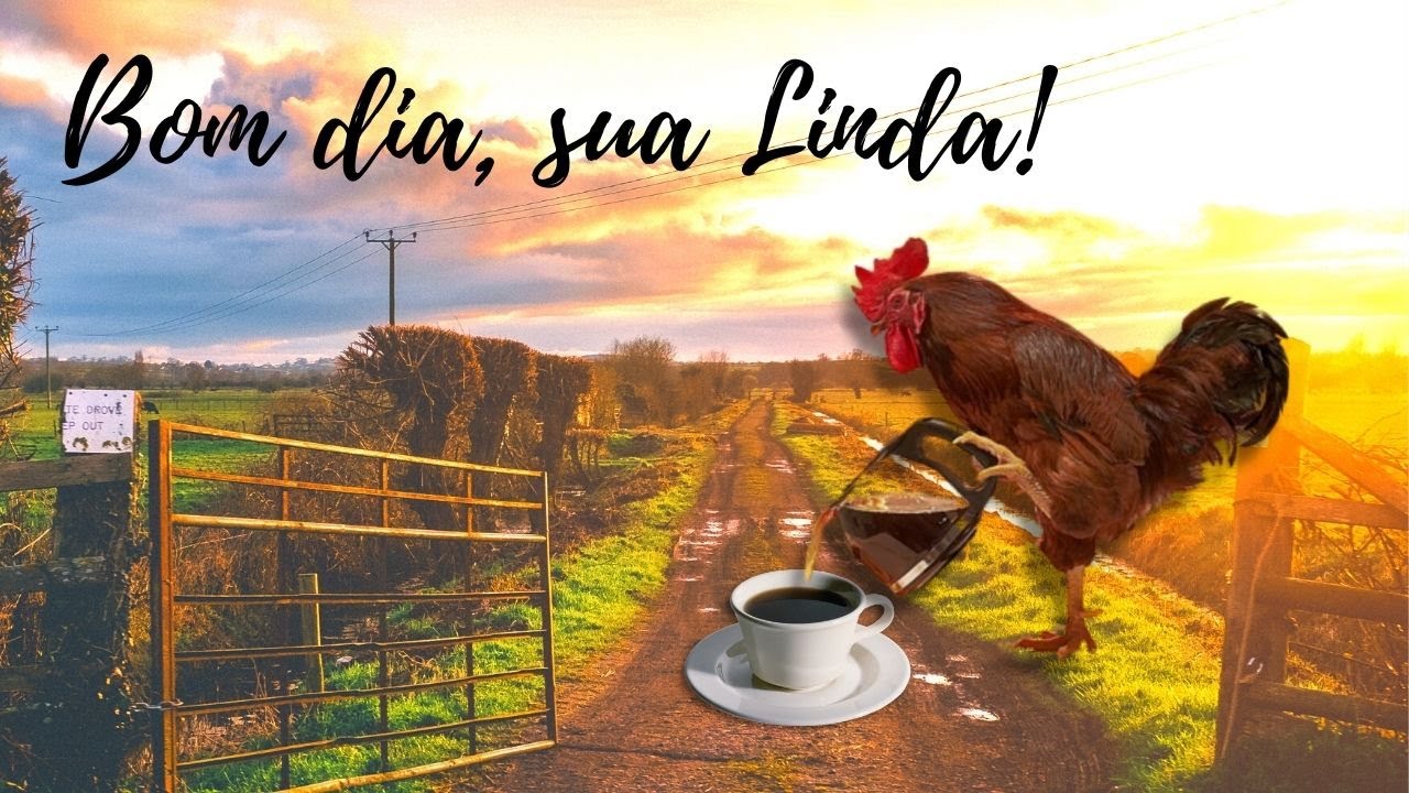 Mensagens de Bom dia - Acorda, Sua Linda | FRASES QUE MOTIVAM