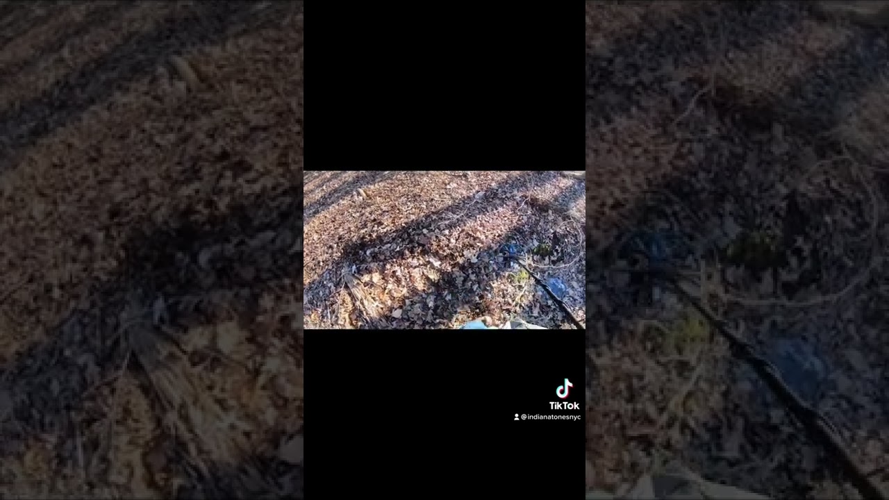 Metal Detecting Mafia Dumping Grounds