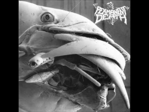 PERMANENT DEATH / Tracks from Pissdeads split 7" (2009) [Noisecore]
