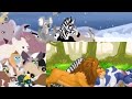 Run With Baby Animals Stampede Video Cute Animals Zoo Safari Video Funny