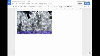 Add Captions to images in Google Docs