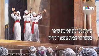 תקיעת שופר במקדש: מה קרה לאנשים כששמעו את זה? (הרב יואב אקריש) - התמונה מוצגת ישירות מתוך אתר האינטרנט יוטיוב. זכויות היוצרים בתמונה שייכות ליוצרה. קישור קרדיט למקור התוכן נמצא בתוך דף הסרטון