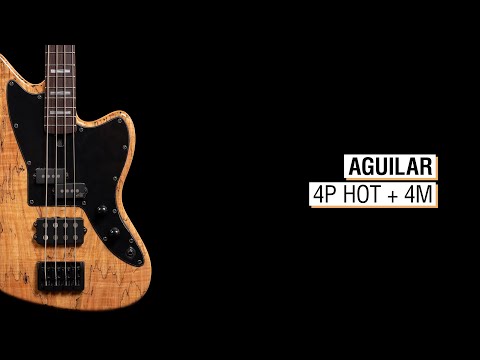 Aguilar 4P Hot + 4M - Maruszczyk Mopped B 4p