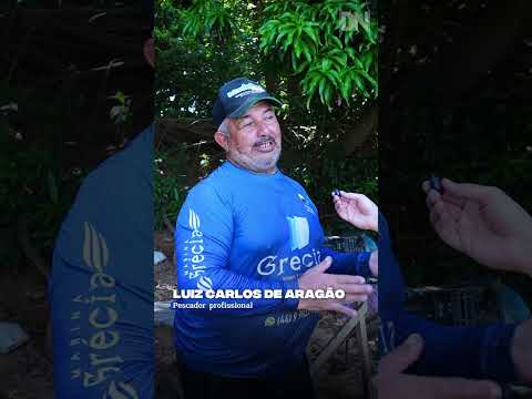 São Pedro do Paraná: Pescadores ainda não receberam o seguro-defeso garantido durante a piracema