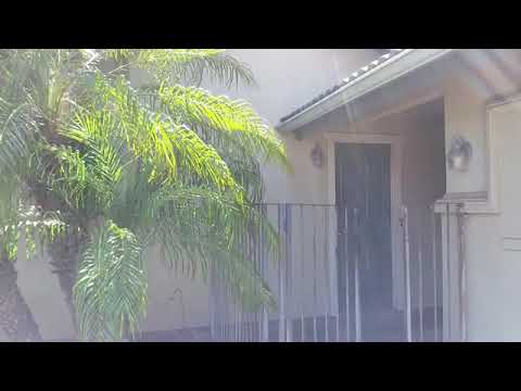 92-106 92-106 Manauea Pl.-small studio - r1017 - Video 6 of 6