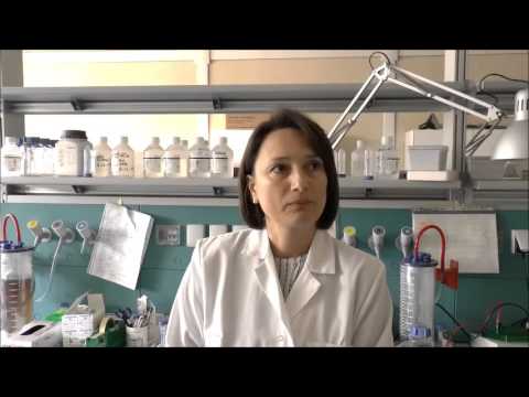 Gabriela Constantin - Ricerca ImmunoAlzheimer