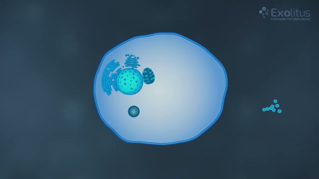 Aviečių egzosomos ,,ExoTherapy"