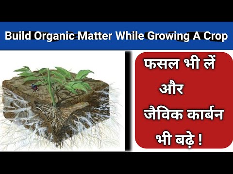 मिट्टी में आर्गेनिक कार्बन बढ़ाने का विज्ञान | How To Increase Organic Carbon In Soil Fast |