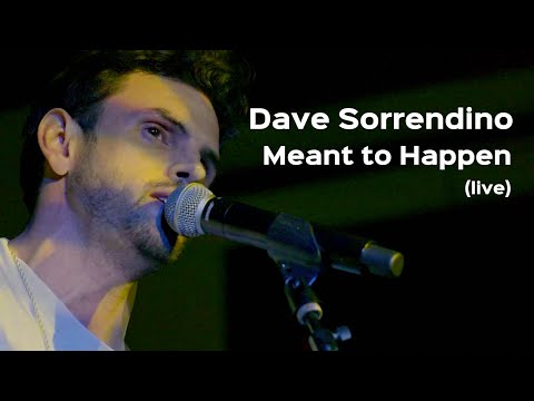 Meant To Happen - Dave Sorrendino