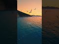 Maahi Ve Whatsapp Status Aesthetic Status Slowed Reverb Neha Kakkar Alane