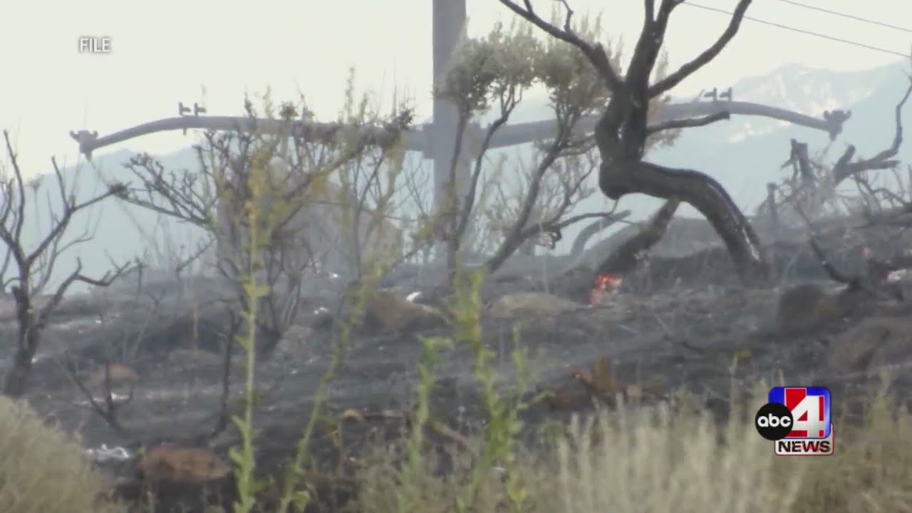 May is National Wildfire Awareness Month -- here's what you need to know