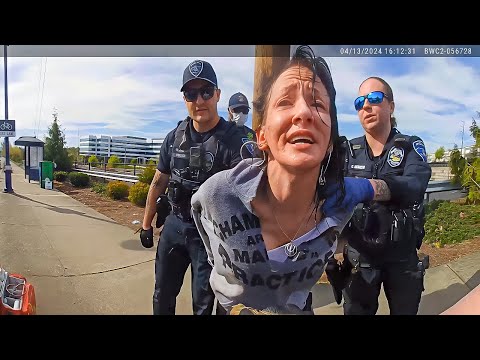 Simple Traffic Stop Goes From Calm to Chaos in Seconds