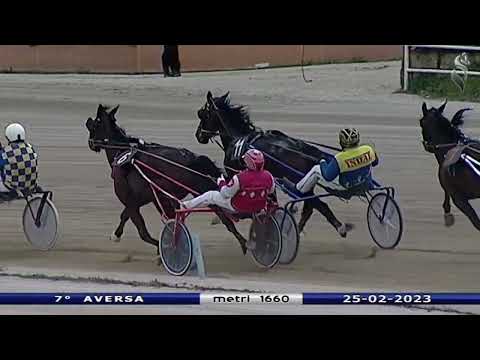 Aversa trotto 25 Febbraio 2023 - 7° Corsa