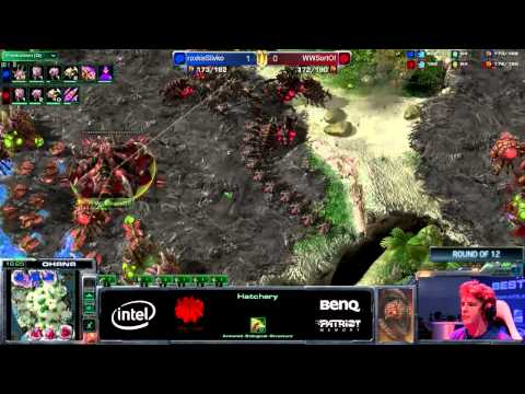 SortOf (Z) vs sLivko (Z) G2 IEM GamesCom Day 4 Ro12