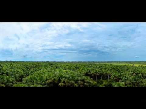 CHOKE Y FUGA - ZC feat ZHAKRArude