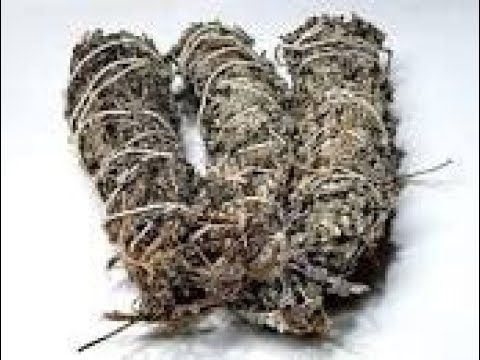 Unlocking the Secret Benefits of Impepho Tea!