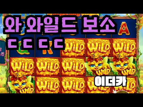 [슬롯][제보영상][닉네임:이더카] 버징와일드 719배