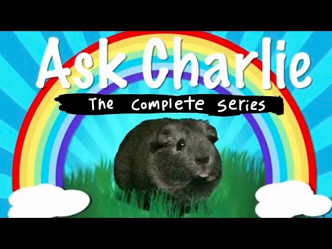 Ask Charlie: The Complete Series Marathon (Charlie The Drunk Guinea Pig)