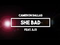 Cameron Dallas (Feat. Sj3) - She Bad | Lyrics ...