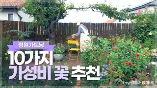 [#이벤트있음] 서리 내릴 때까지 꽃이 피는 '가성비 꽃' 10가지