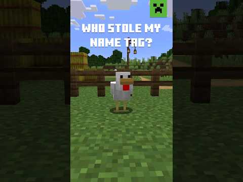 Minecraft - WHO STOLE MY NAME TAG?