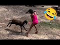 Kumpulan Momen Kocak Konyol Bikin Ngakak Sampai Sakit Perut Video Lucu 2025 15