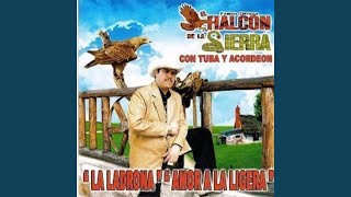 Recordando A Los Valientes Lyrics English Translation