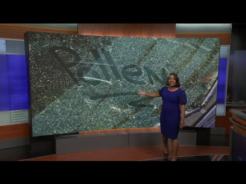 Extreme Pollen Counts Likely To Continue Through Mid April
